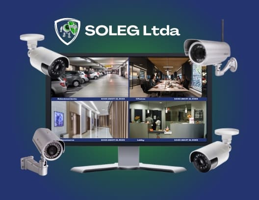 seguridad privada