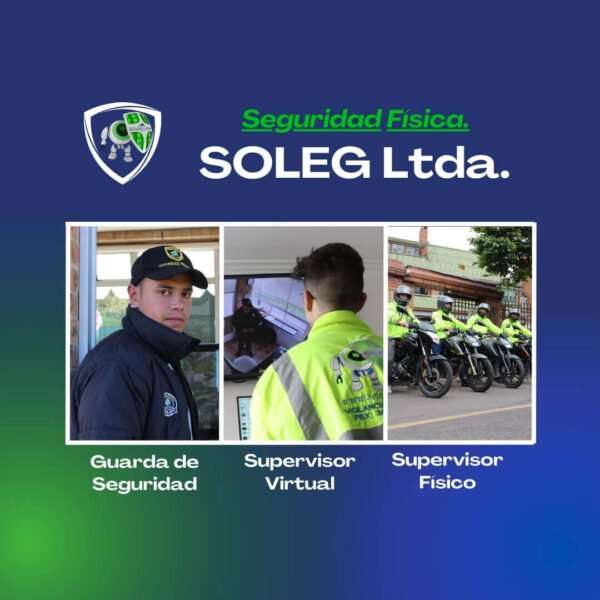 seguridad privada